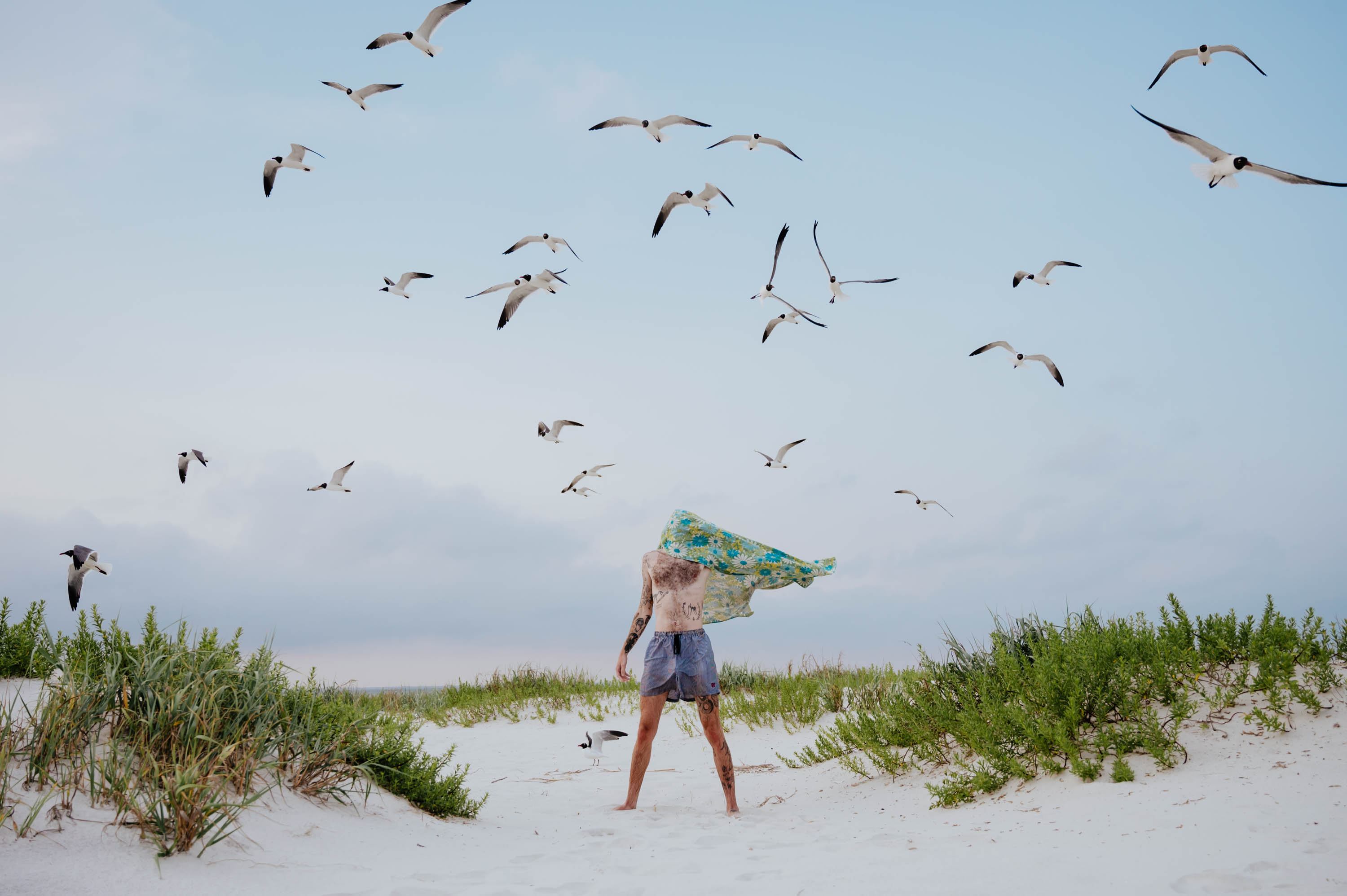 Victoria Jung: Daytrip to Dauphin Island