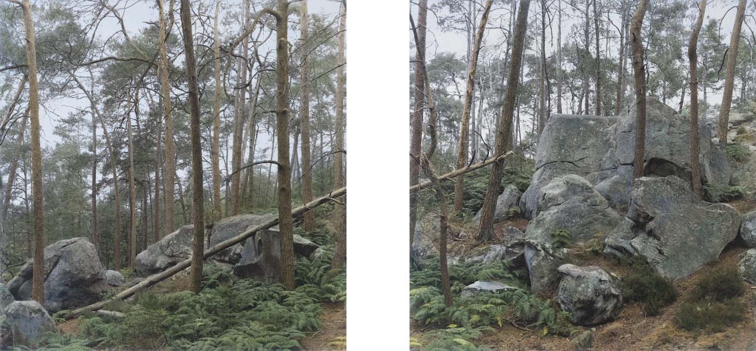 Forest Interior near Fontainebleau (Diptychon)